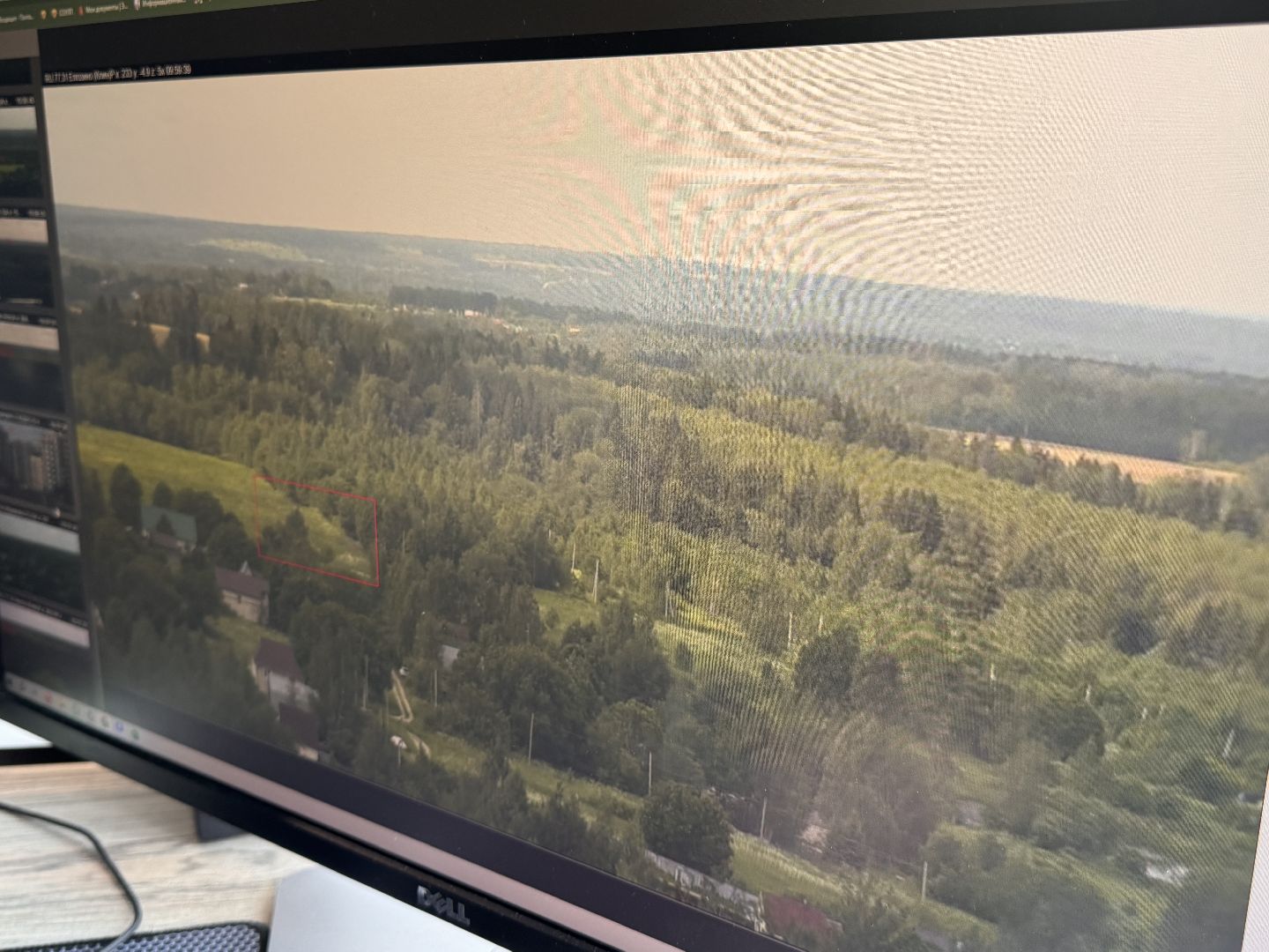 Искусственный интеллект, Лесные пожары, Одинцово, Центр мониторинга лесных пожаров,