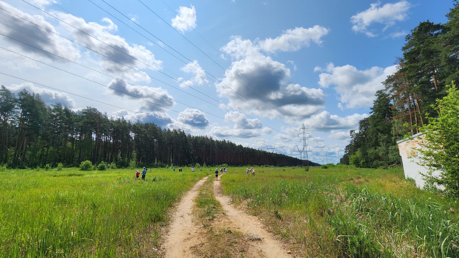 марафон зеленых дел, всероссийская акция, протвино, лицей,