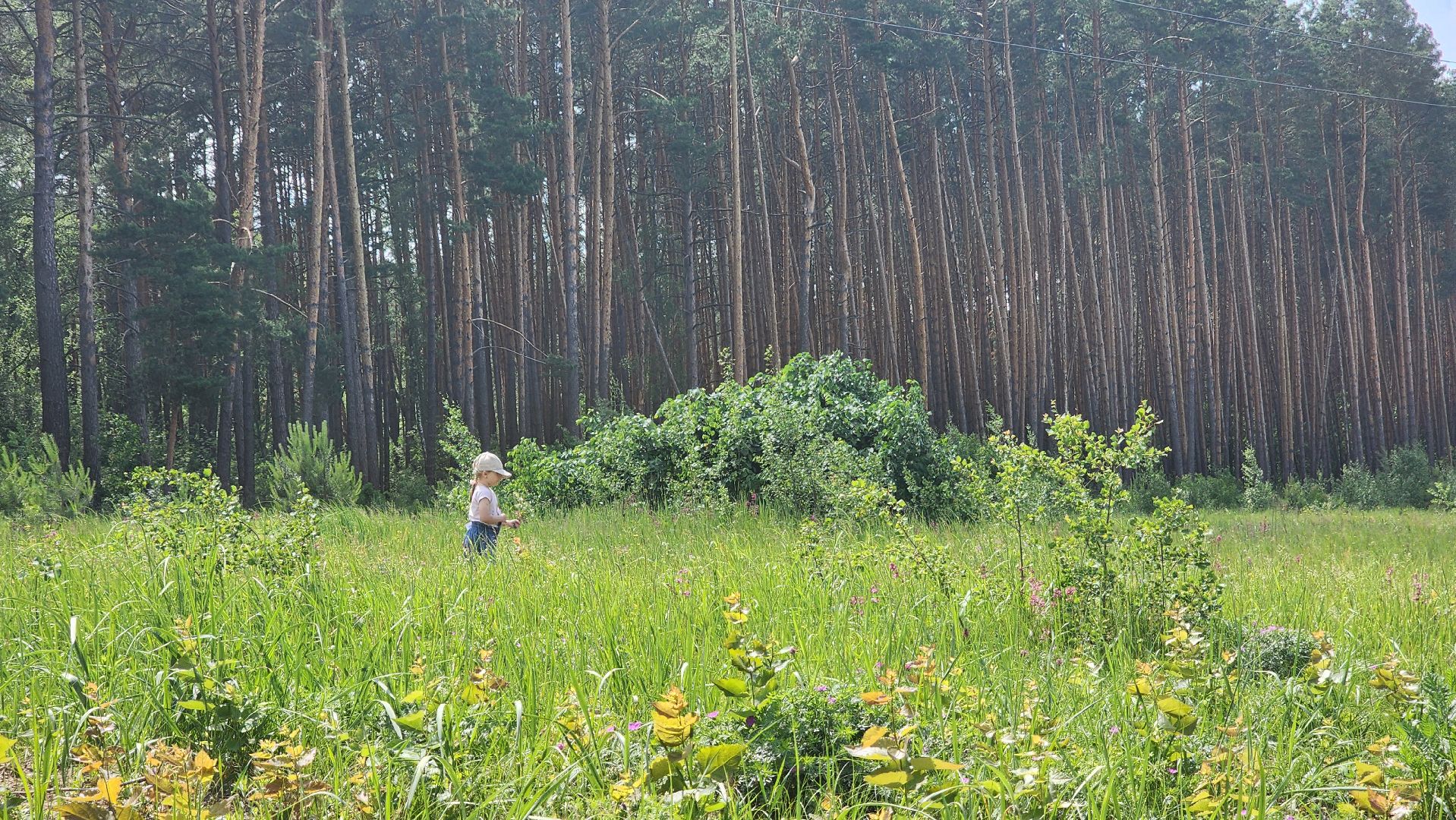 марафон зеленых дел, всероссийская акция, протвино, лицей,