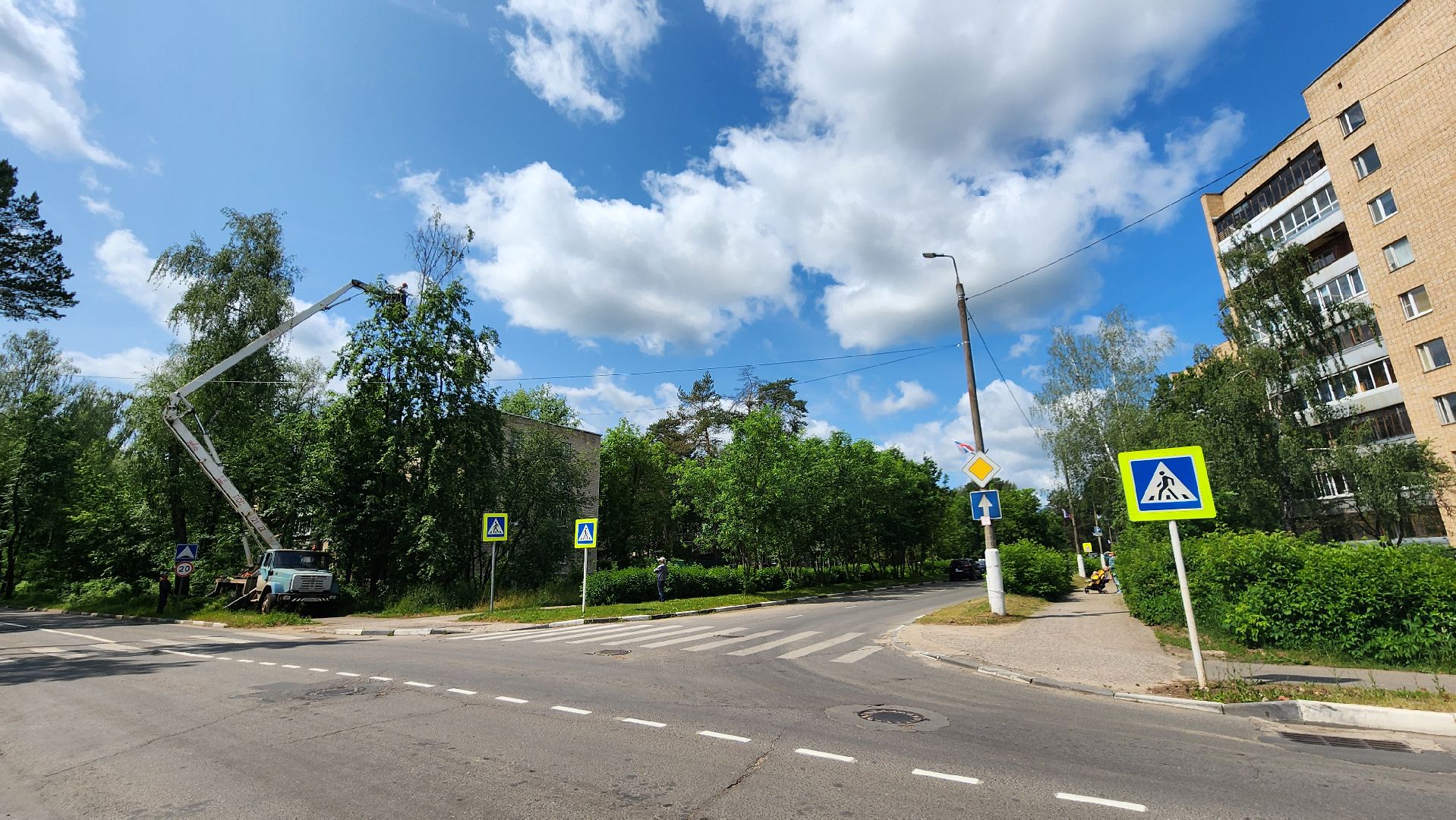 протвино, удаление сухих деревьев , комбинат благоустройства,