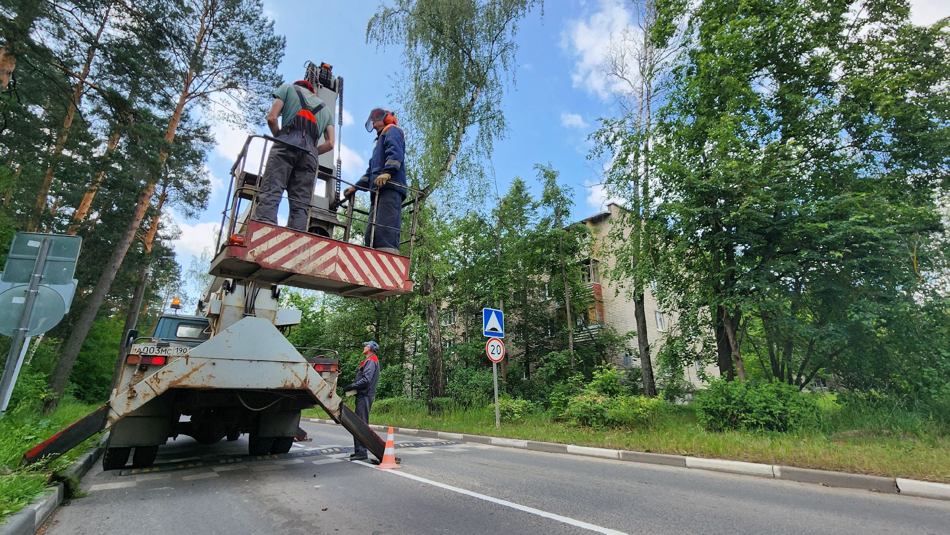 протвино, удаление сухих деревьев , комбинат благоустройства,