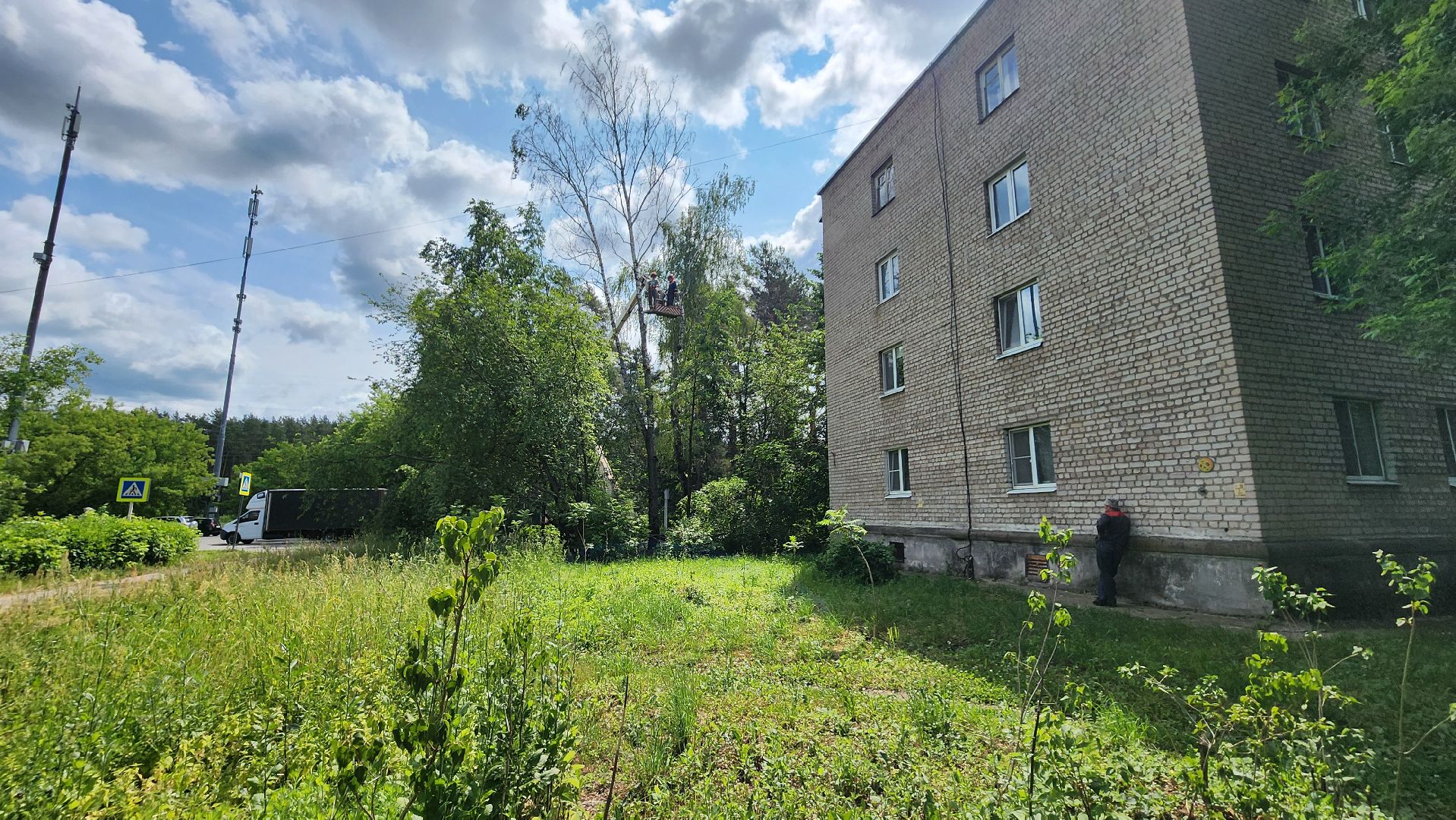 протвино, удаление сухих деревьев , комбинат благоустройства,