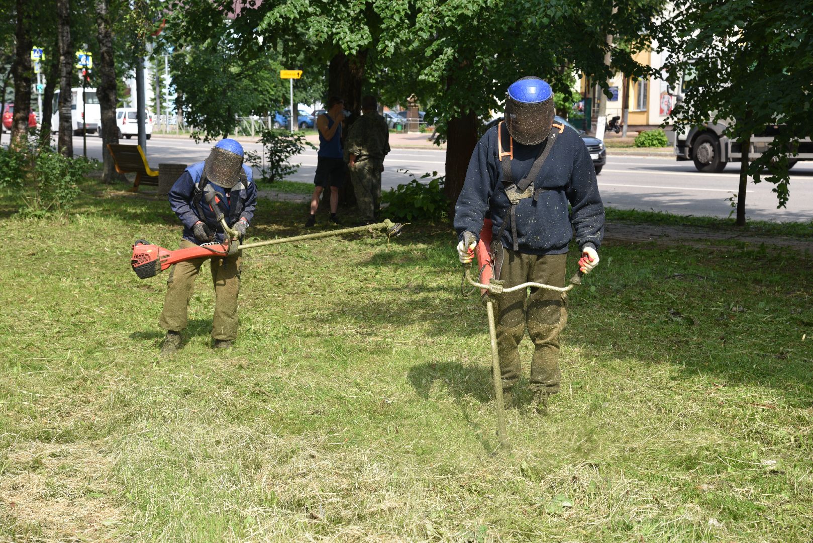 лотошино, благоустройство, добродел, окос травы,