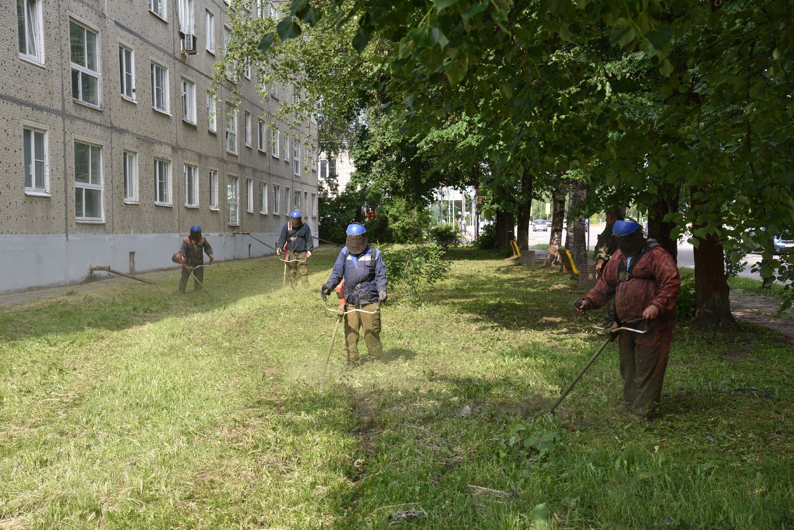 лотошино, благоустройство, добродел, окос травы,