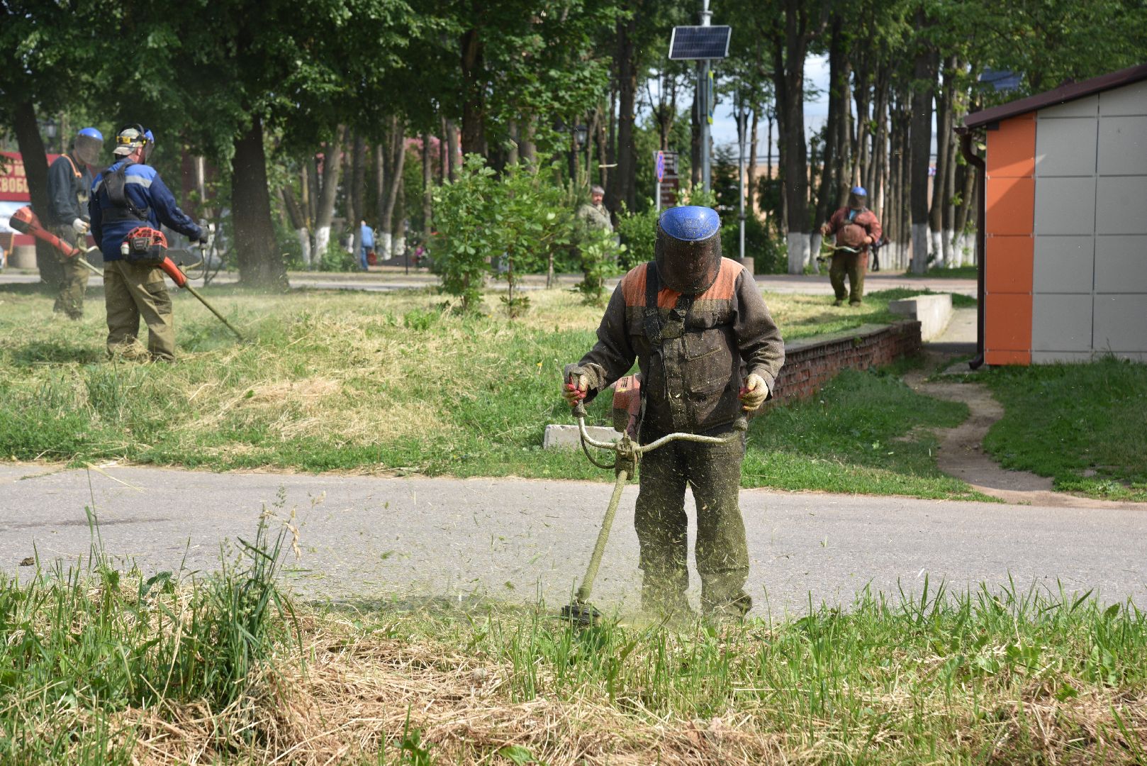 лотошино, благоустройство, добродел, окос травы,