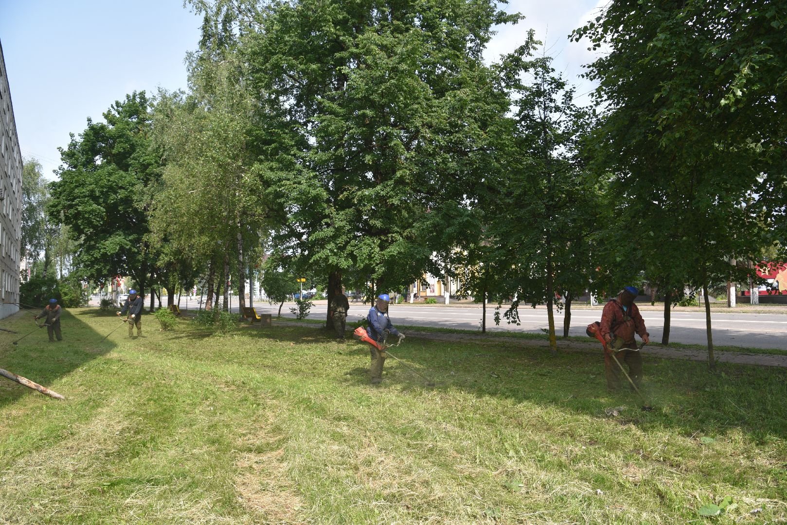 лотошино, благоустройство, добродел, окос травы,