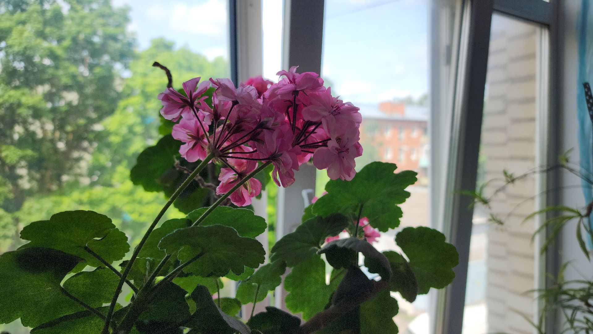 волоколамск, ремонт поликлиники, здравоохранение подмосковья,