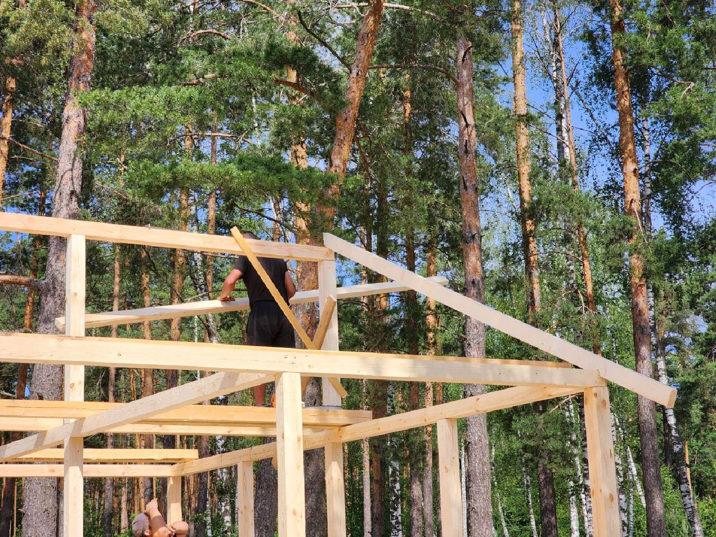 воскресенск, предпринимательство, отдых, грантовая поддержка,