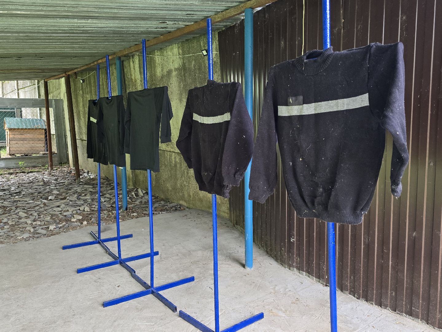 Коломна , питомник служебного собаководства, служебная собака,