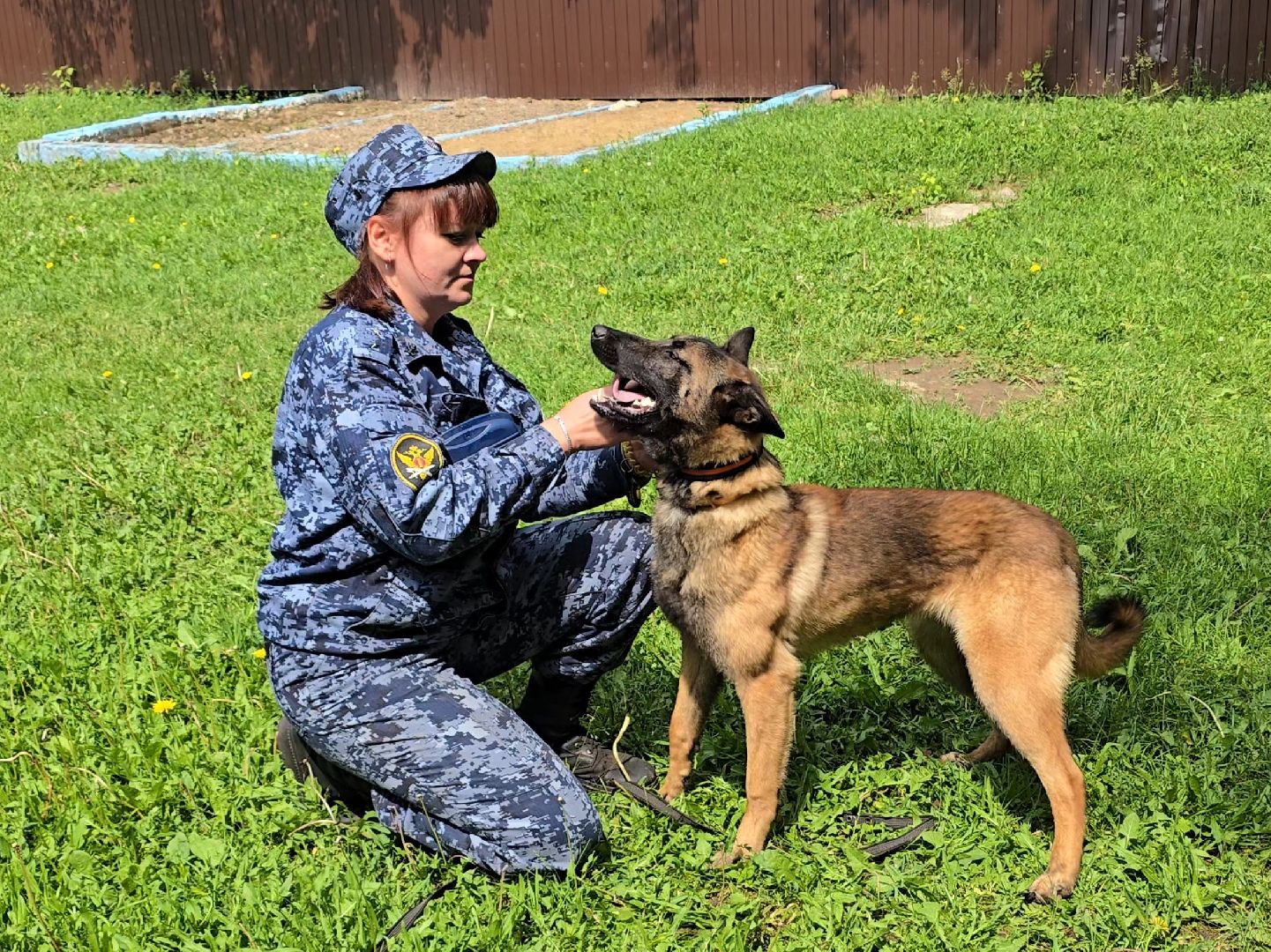 Коломна , питомник служебного собаководства, служебная собака,