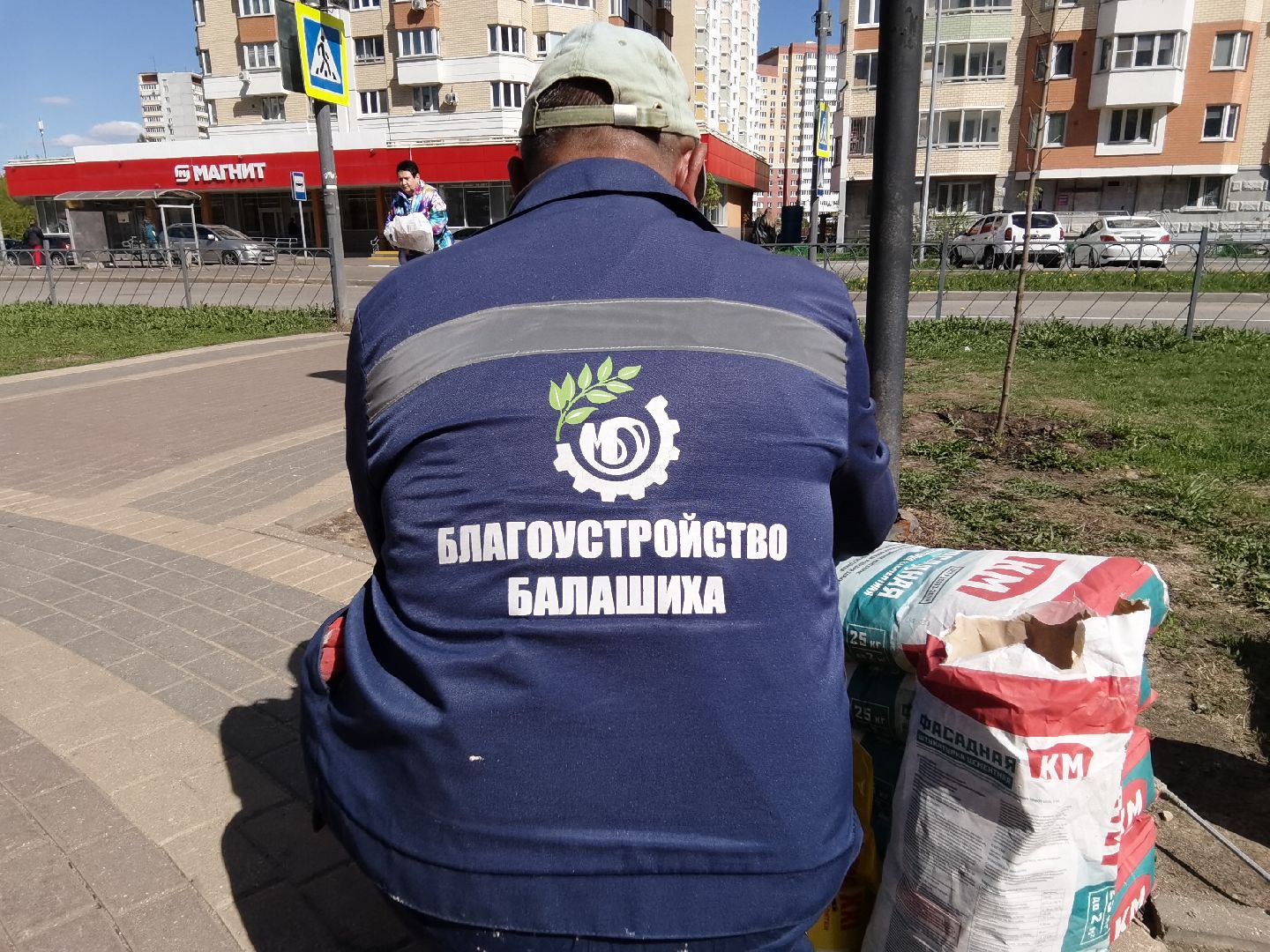 Балашиха, Благоустройство Балашиха, клумбы, растения, цветы, деревья, Гинкго Билоба, косметический ремонт, сквер на проспекте Героев