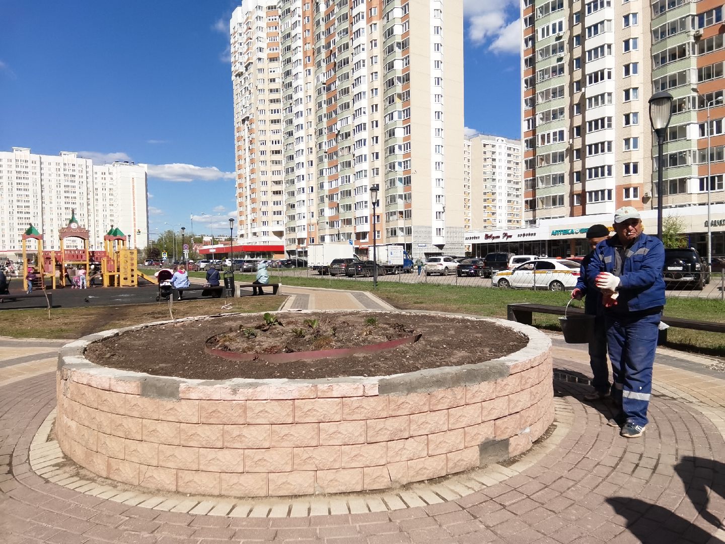 Балашиха, Благоустройство Балашиха, клумбы, растения, цветы, деревья, Гинкго Билоба, косметический ремонт, сквер на проспекте Героев