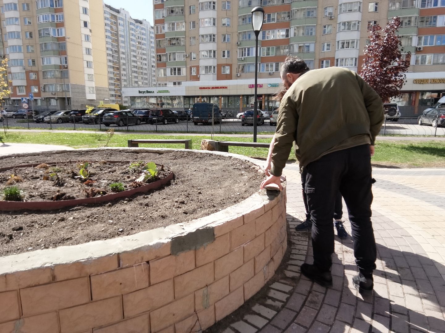 Балашиха, Благоустройство Балашиха, клумбы, растения, цветы, деревья, Гинкго Билоба, косметический ремонт, сквер на проспекте Героев
