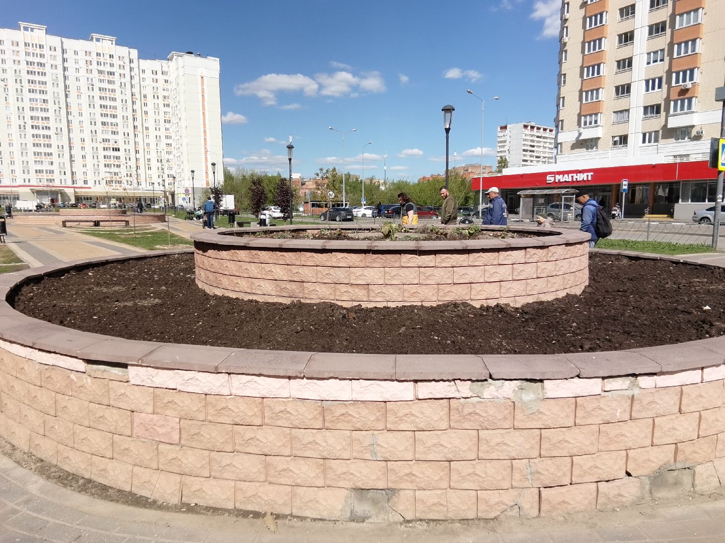 Балашиха, Благоустройство Балашиха, клумбы, растения, цветы, деревья, Гинкго Билоба, косметический ремонт, сквер на проспекте Героев