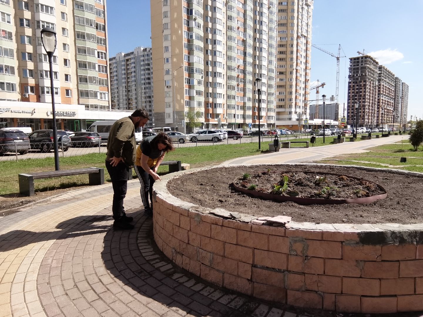 Балашиха, Благоустройство Балашиха, клумбы, растения, цветы, деревья, Гинкго Билоба, косметический ремонт, сквер на проспекте Героев