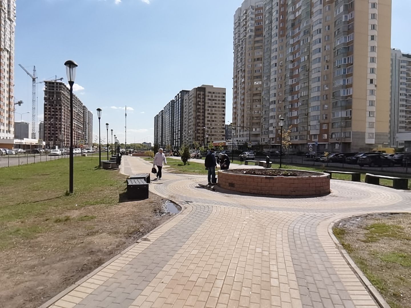 Балашиха, Благоустройство Балашиха, клумбы, растения, цветы, деревья, Гинкго Билоба, косметический ремонт, сквер на проспекте Героев