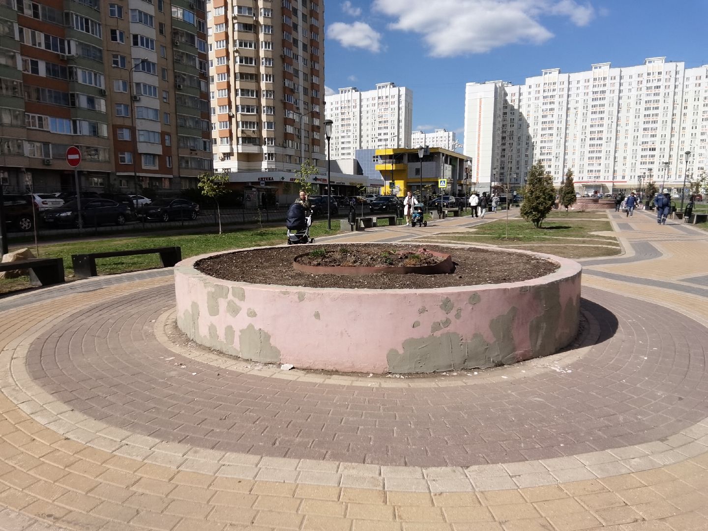 Балашиха, Благоустройство Балашиха, клумбы, растения, цветы, деревья, Гинкго Билоба, косметический ремонт, сквер на проспекте Героев