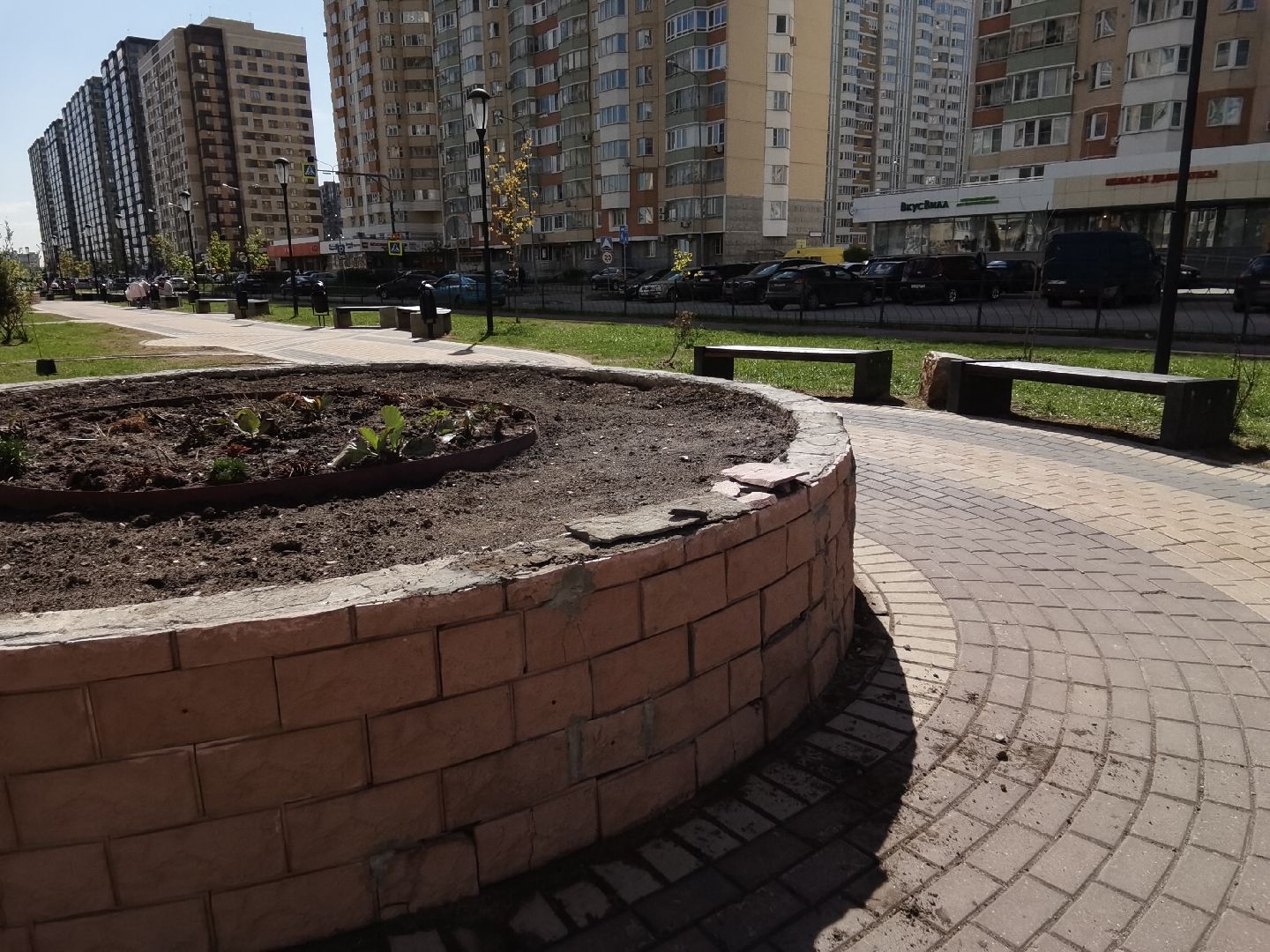 Балашиха, Благоустройство Балашиха, клумбы, растения, цветы, деревья, Гинкго Билоба, косметический ремонт, сквер на проспекте Героев