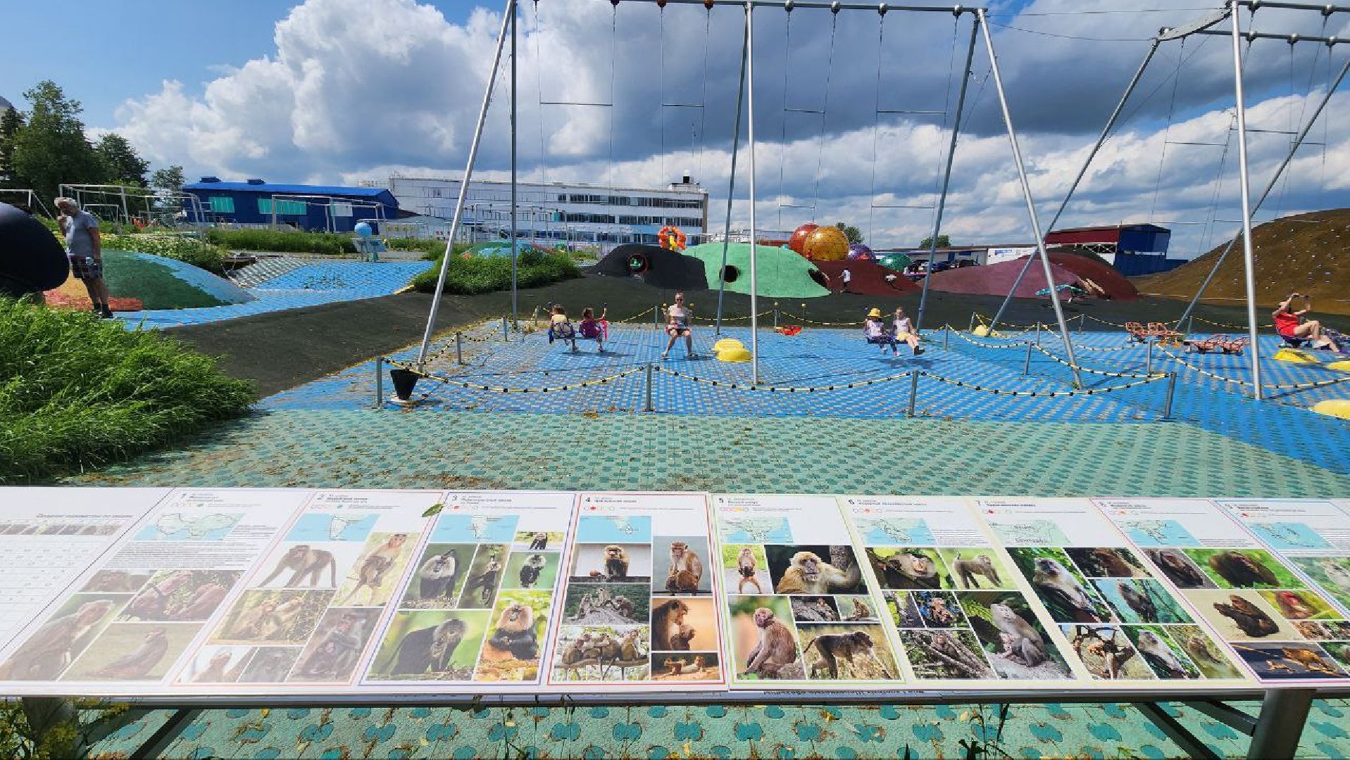 Дмитров, Парк Леко, Фабрика спортивных изделий, Туризм,