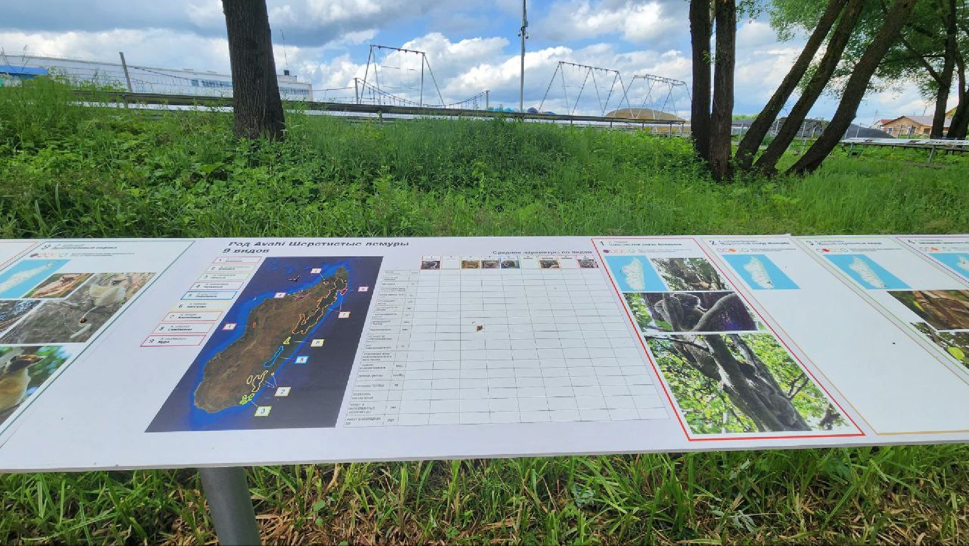 Дмитров, Парк Леко, Фабрика спортивных изделий, Туризм,