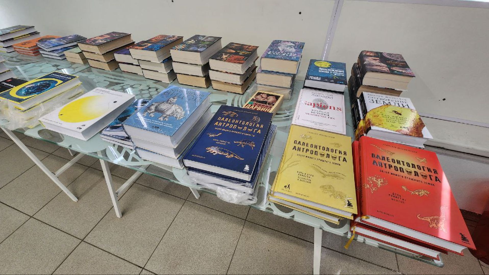 Дмитров, Парк Леко, Фабрика спортивных изделий, Туризм,