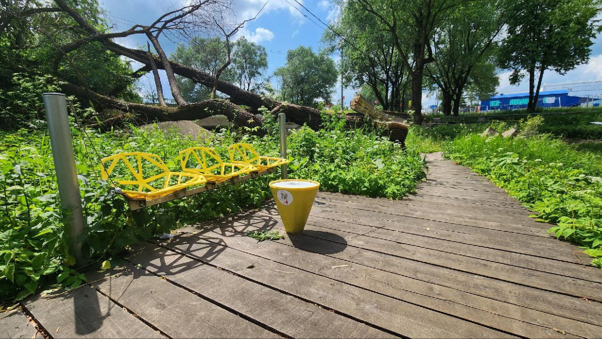 Дмитров, Парк Леко, Фабрика спортивных изделий, Туризм,