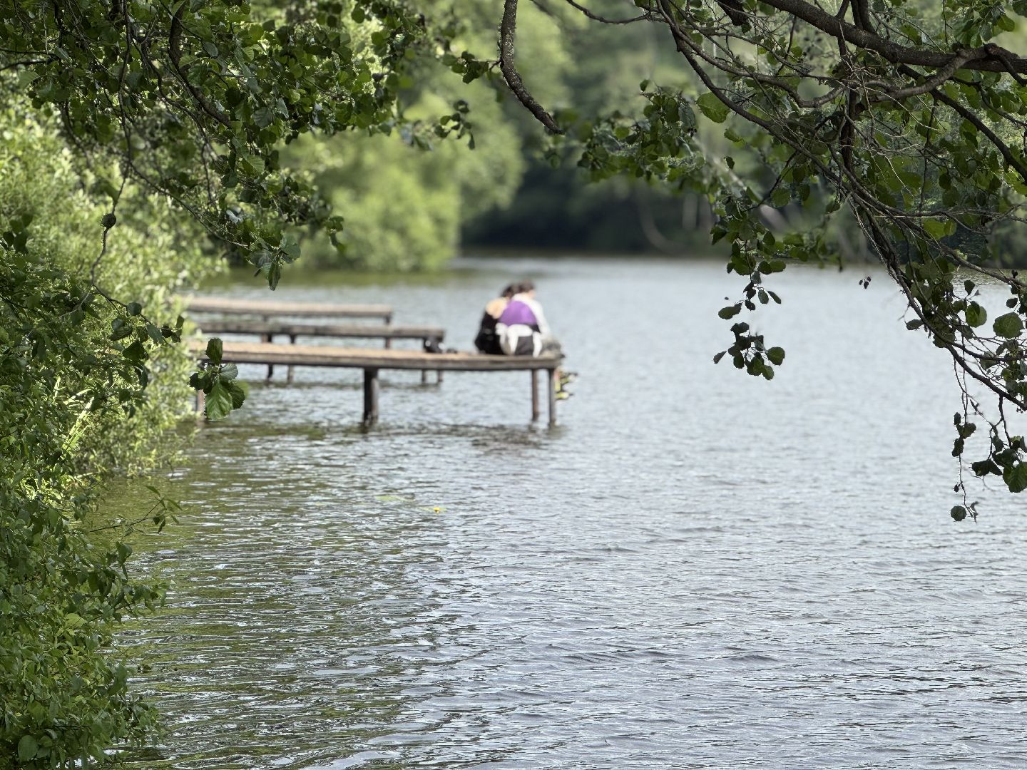 спасательный пост, балашиха, спасатели, безопасность на воде, места отдыха у воды,