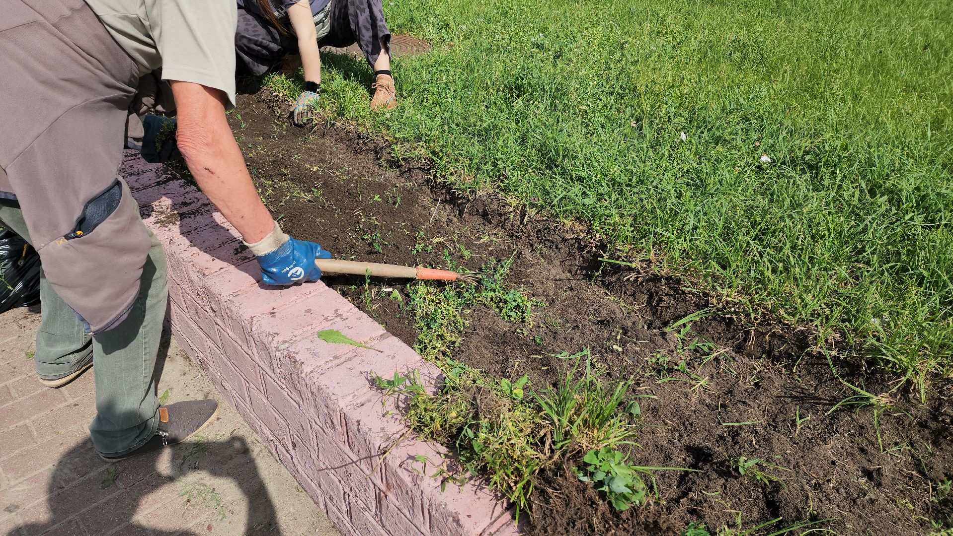 цветы,  благоуствойство,