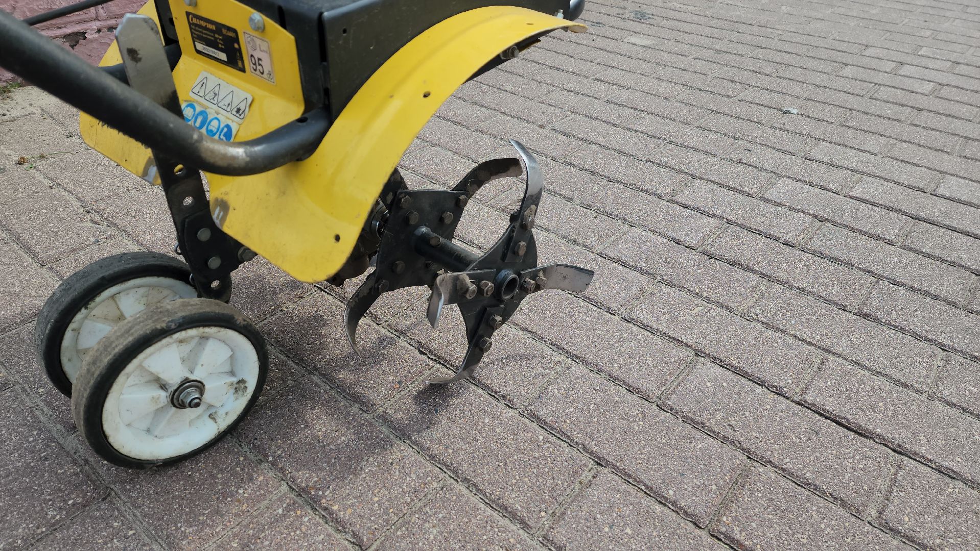 цветы,  благоуствойство,