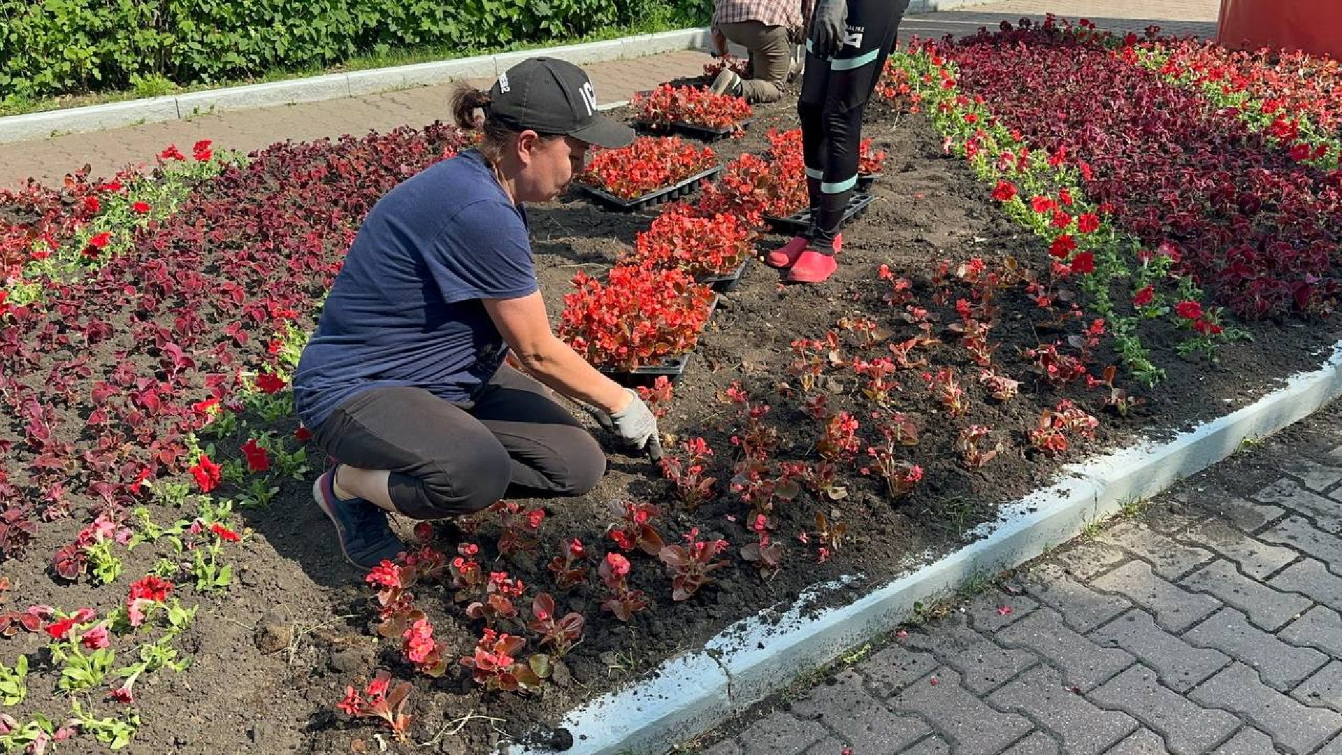 день россии, домодедово, цветы,