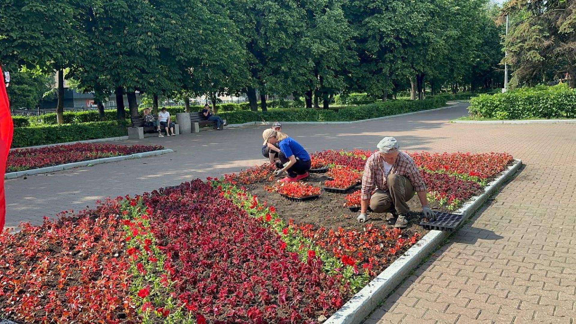 день россии, домодедово, цветы,
