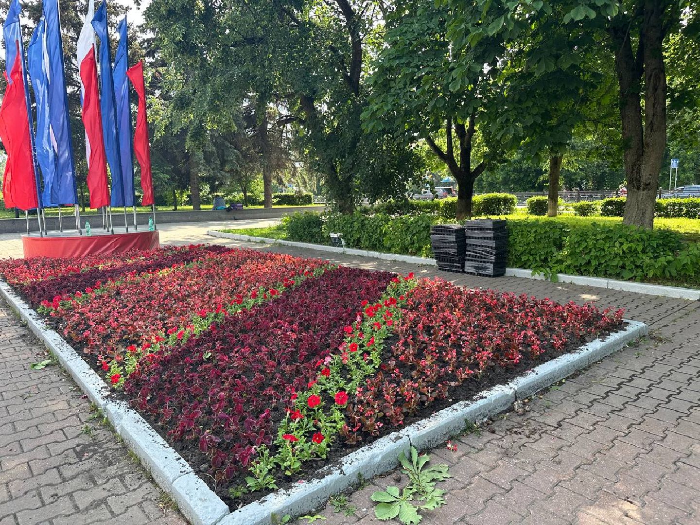 день россии, домодедово, цветы,