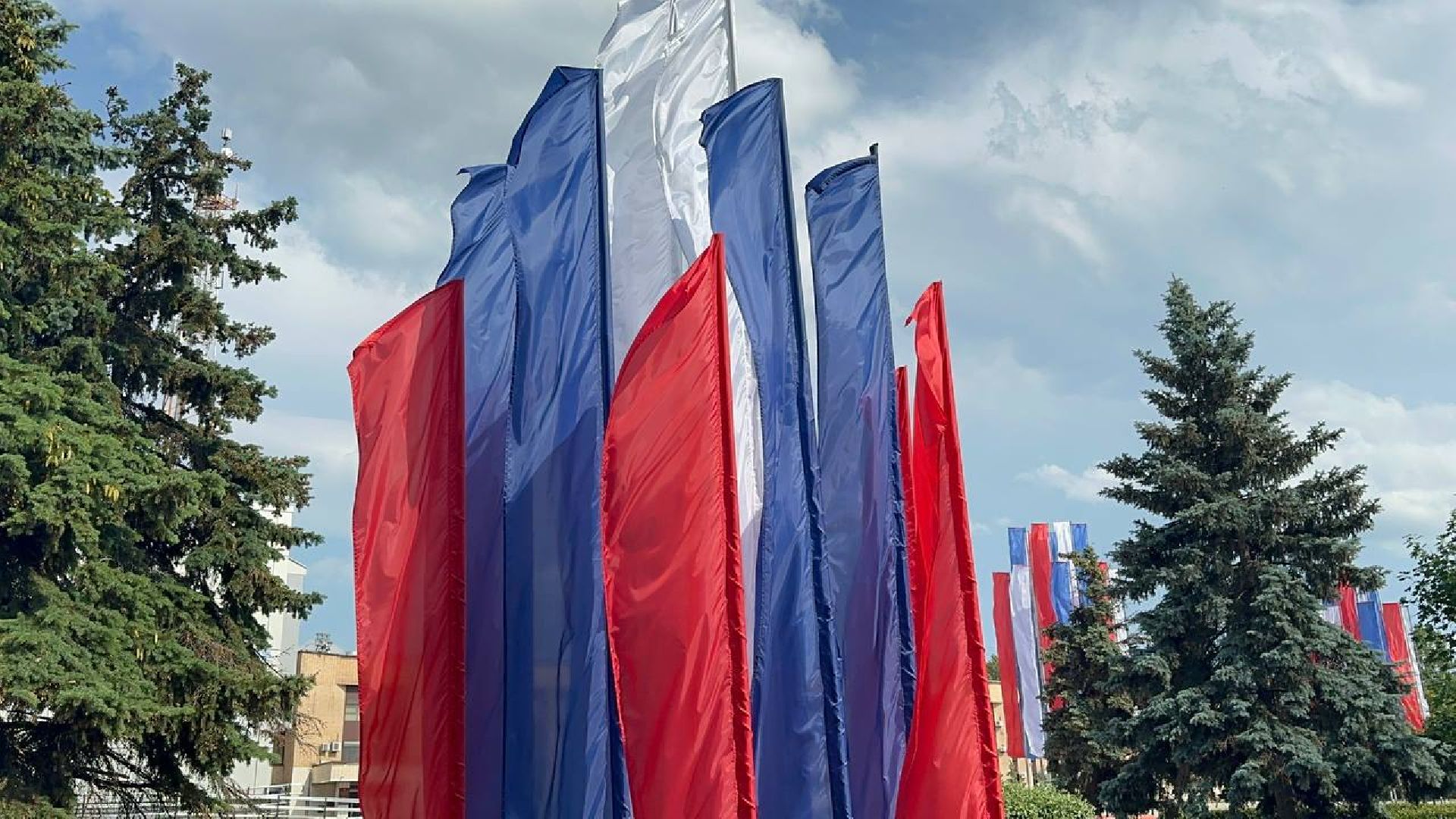 день россии, домодедово, цветы,