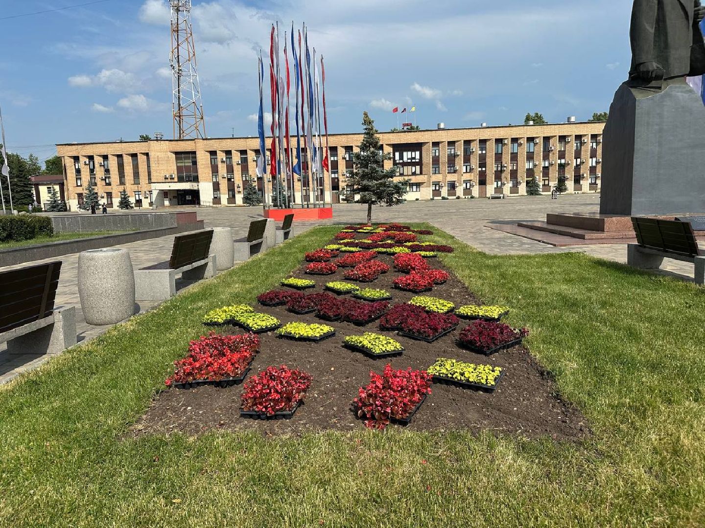 день россии, домодедово, цветы,