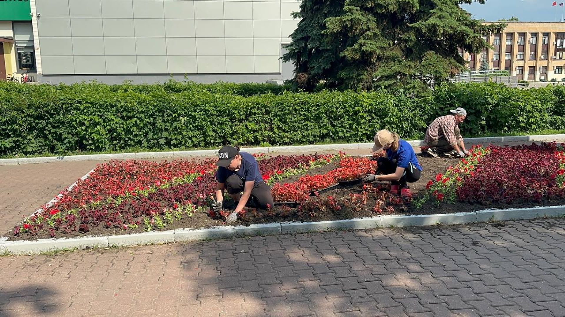 день россии, домодедово, цветы,