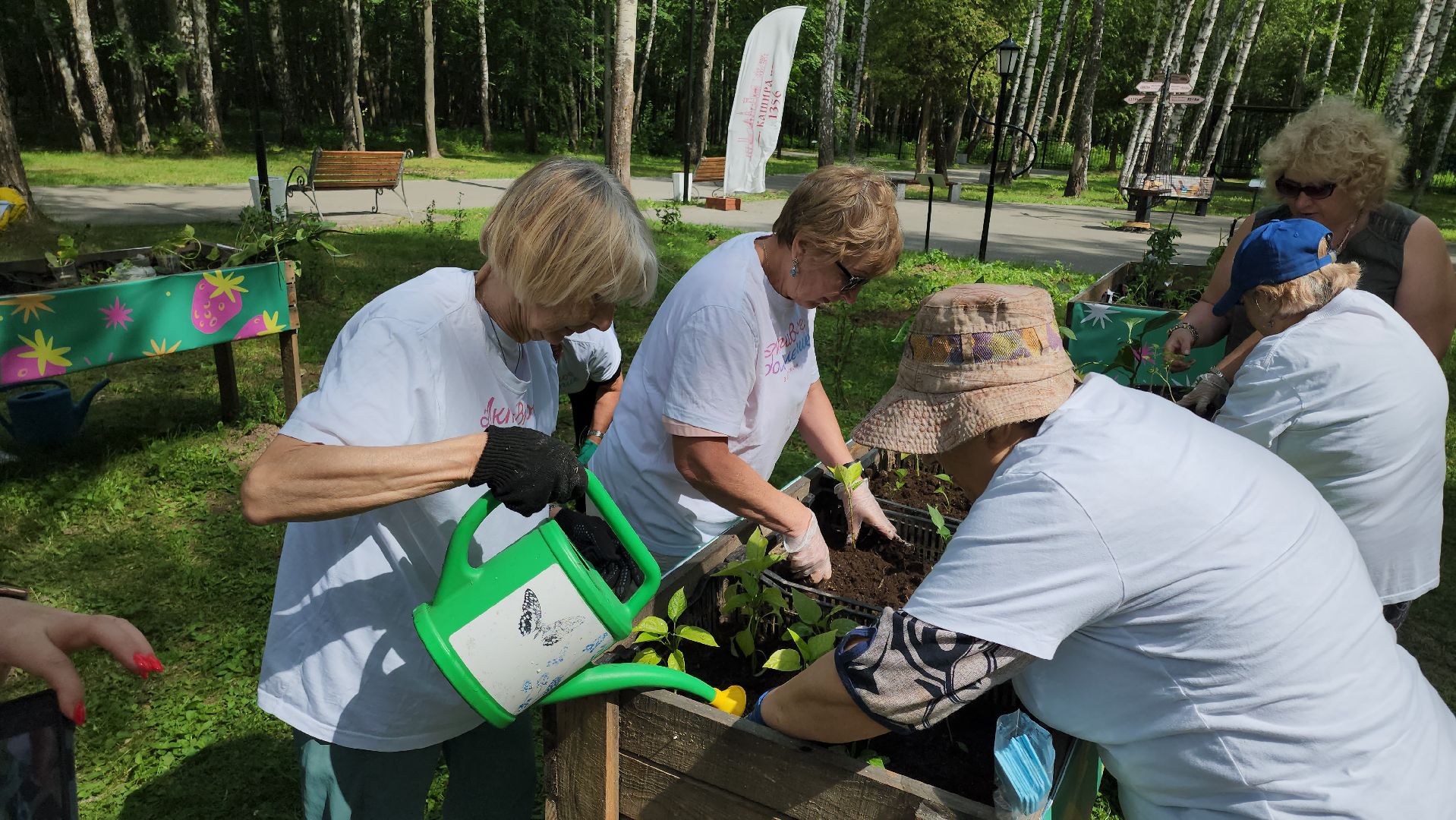 кашира, активное долголетие, общественный огород, парк, досуг, овощи, цветы,