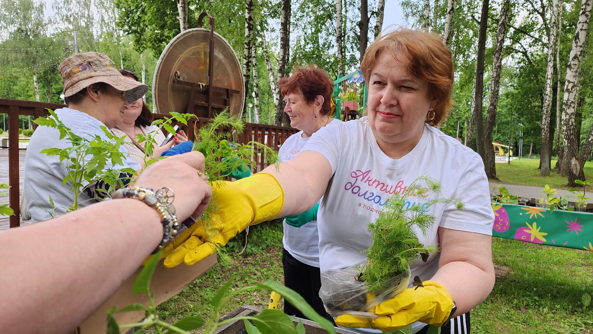 кашира, активное долголетие, общественный огород, парк, досуг, овощи, цветы,