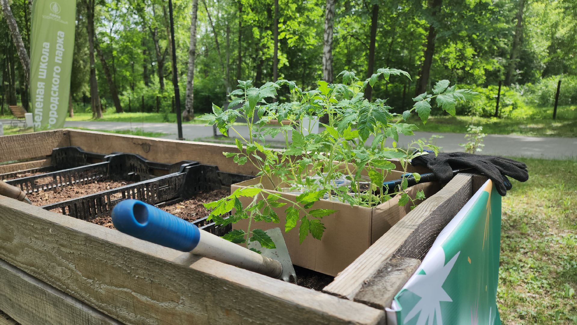 кашира, активное долголетие, общественный огород, парк, досуг, овощи, цветы,