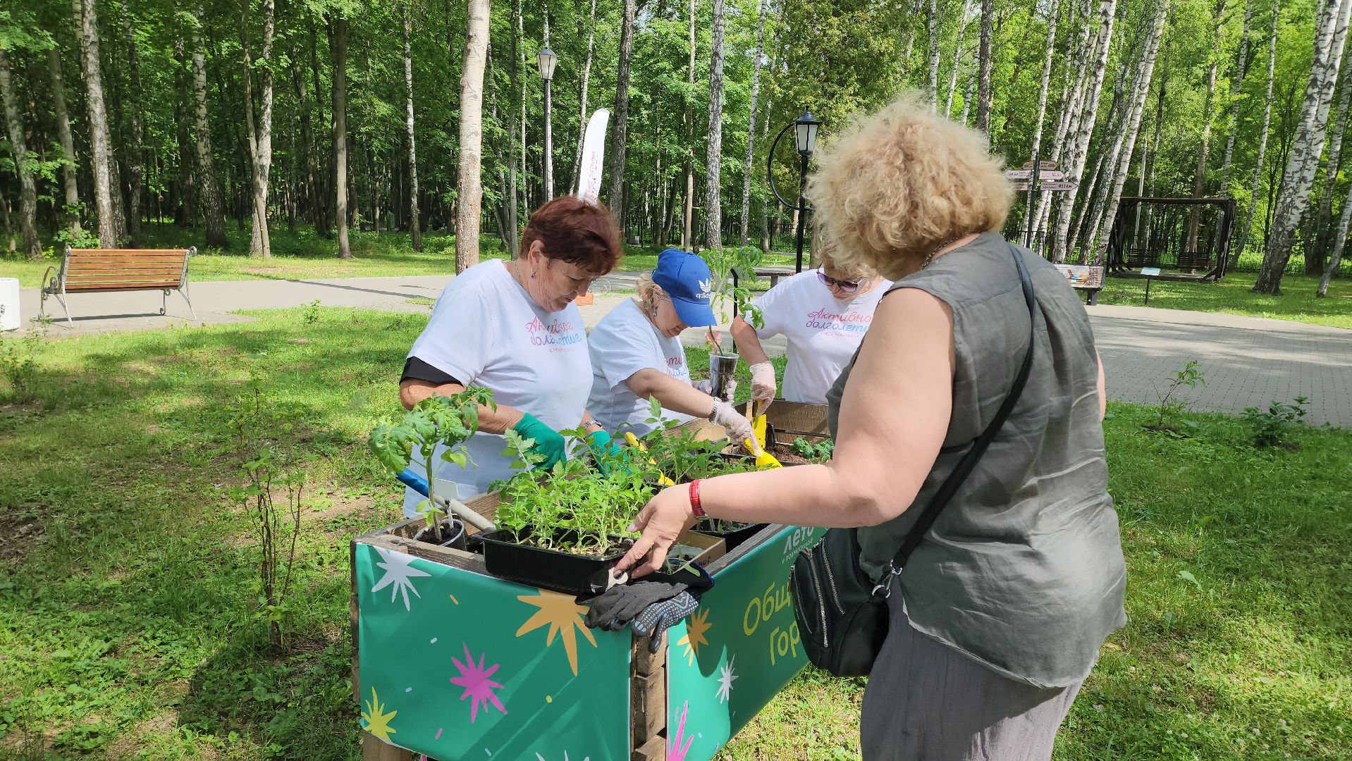 кашира, активное долголетие, общественный огород, парк, досуг, овощи, цветы,