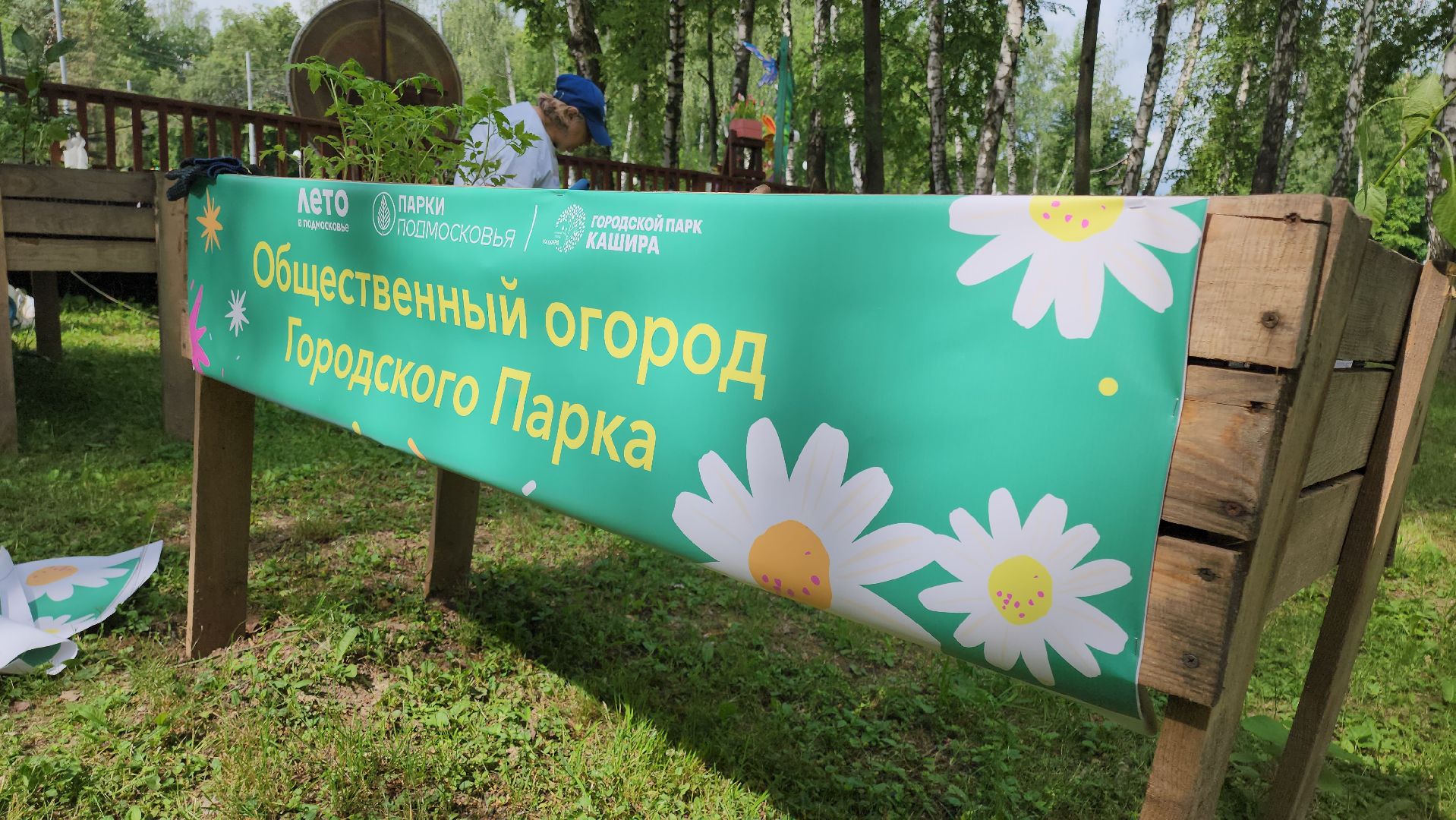 кашира, активное долголетие, общественный огород, парк, досуг, овощи, цветы,