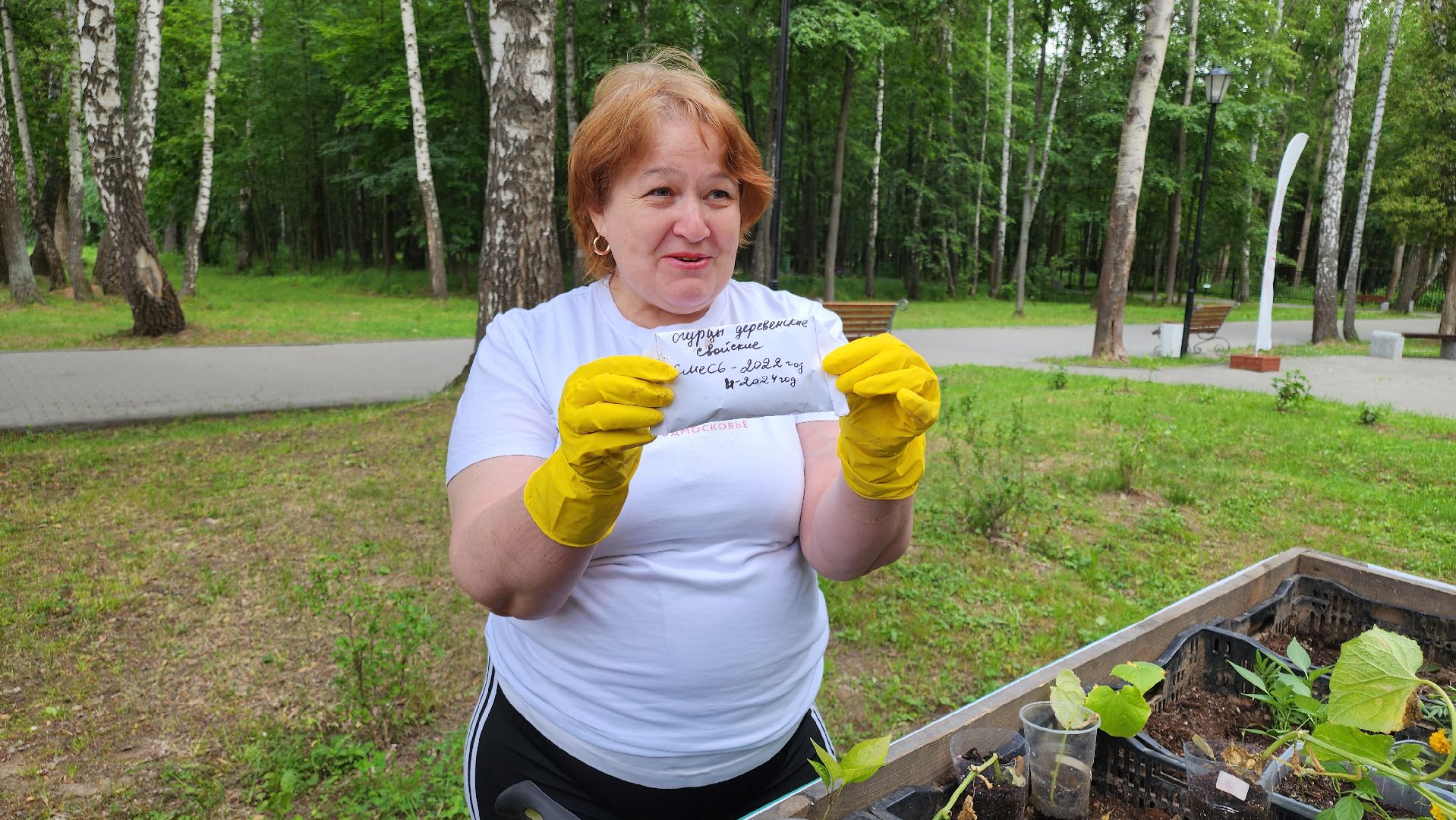 кашира, активное долголетие, общественный огород, парк, досуг, овощи, цветы,