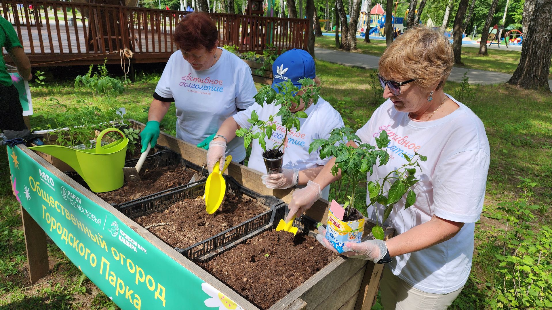 кашира, активное долголетие, общественный огород, парк, досуг, овощи, цветы,