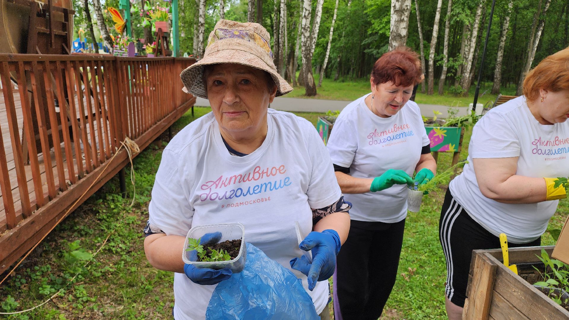 кашира, активное долголетие, общественный огород, парк, досуг, овощи, цветы,