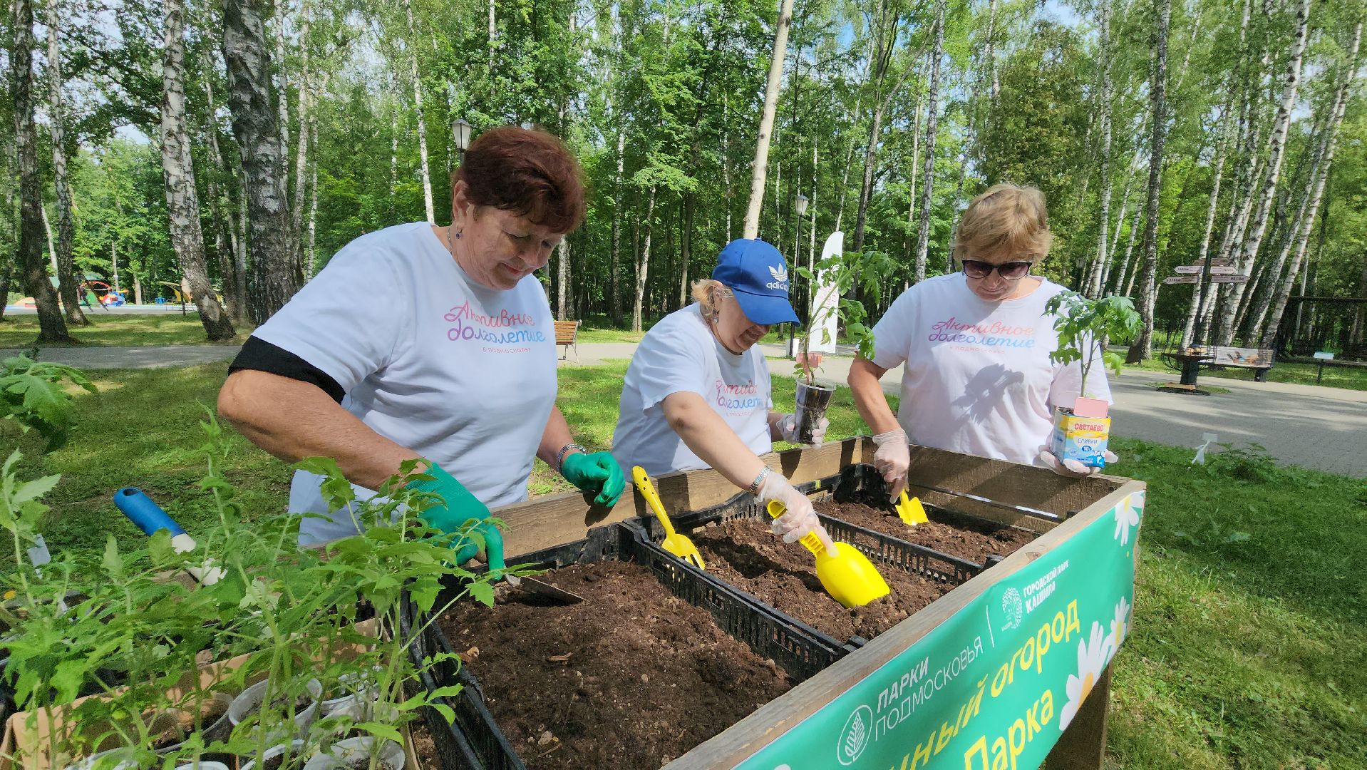 кашира, активное долголетие, общественный огород, парк, досуг, овощи, цветы,