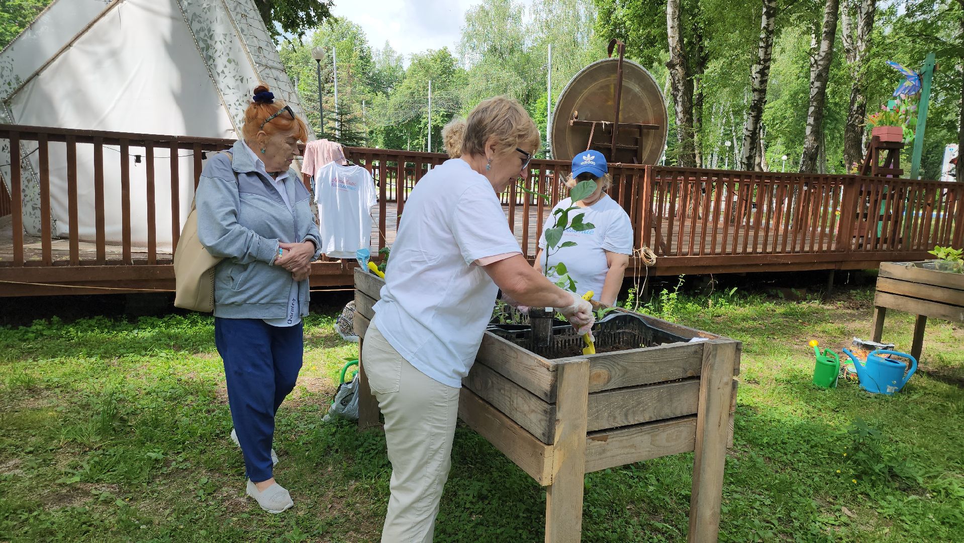 кашира, активное долголетие, общественный огород, парк, досуг, овощи, цветы,