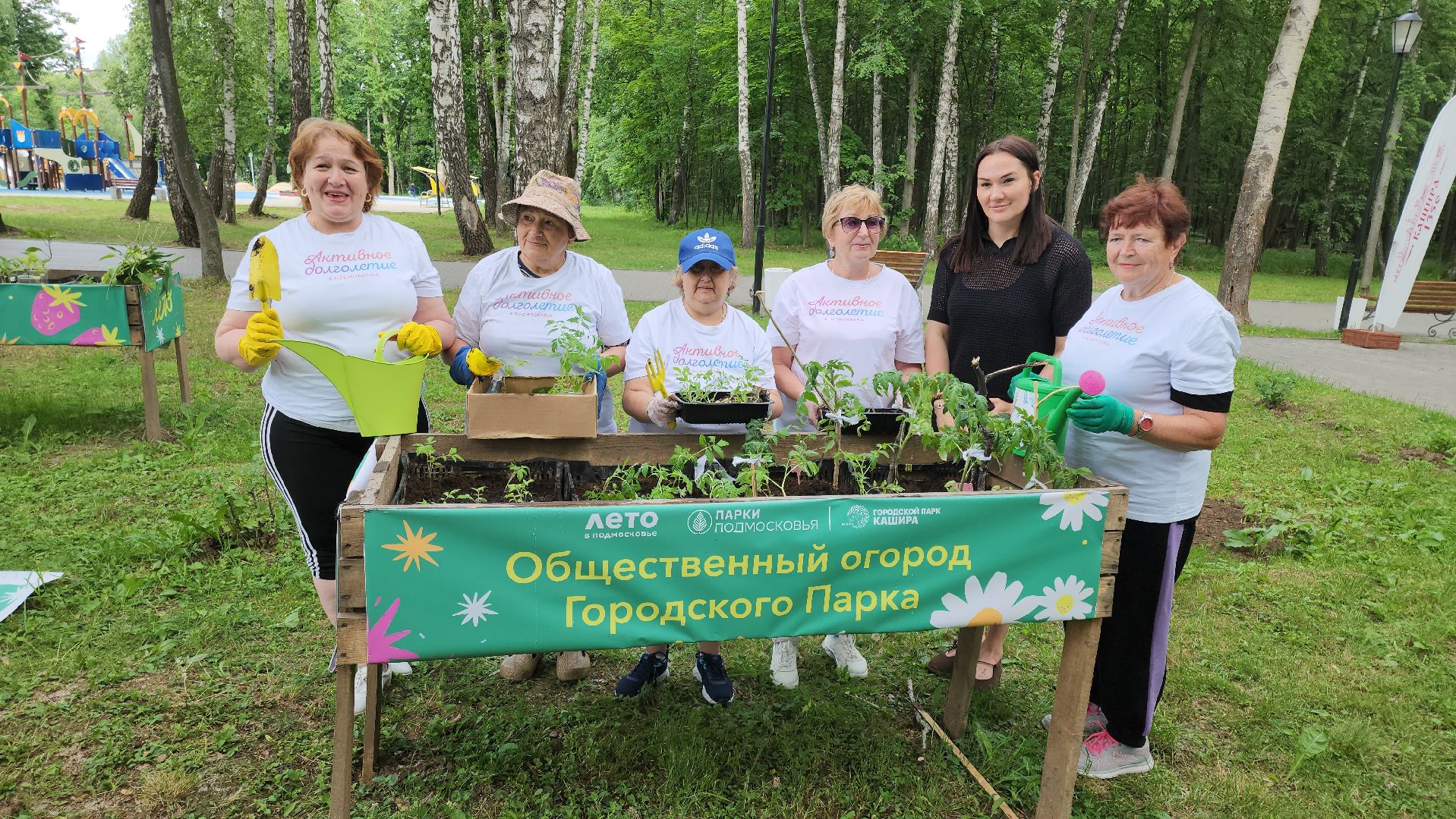 кашира, активное долголетие, общественный огород, парк, досуг, овощи, цветы,