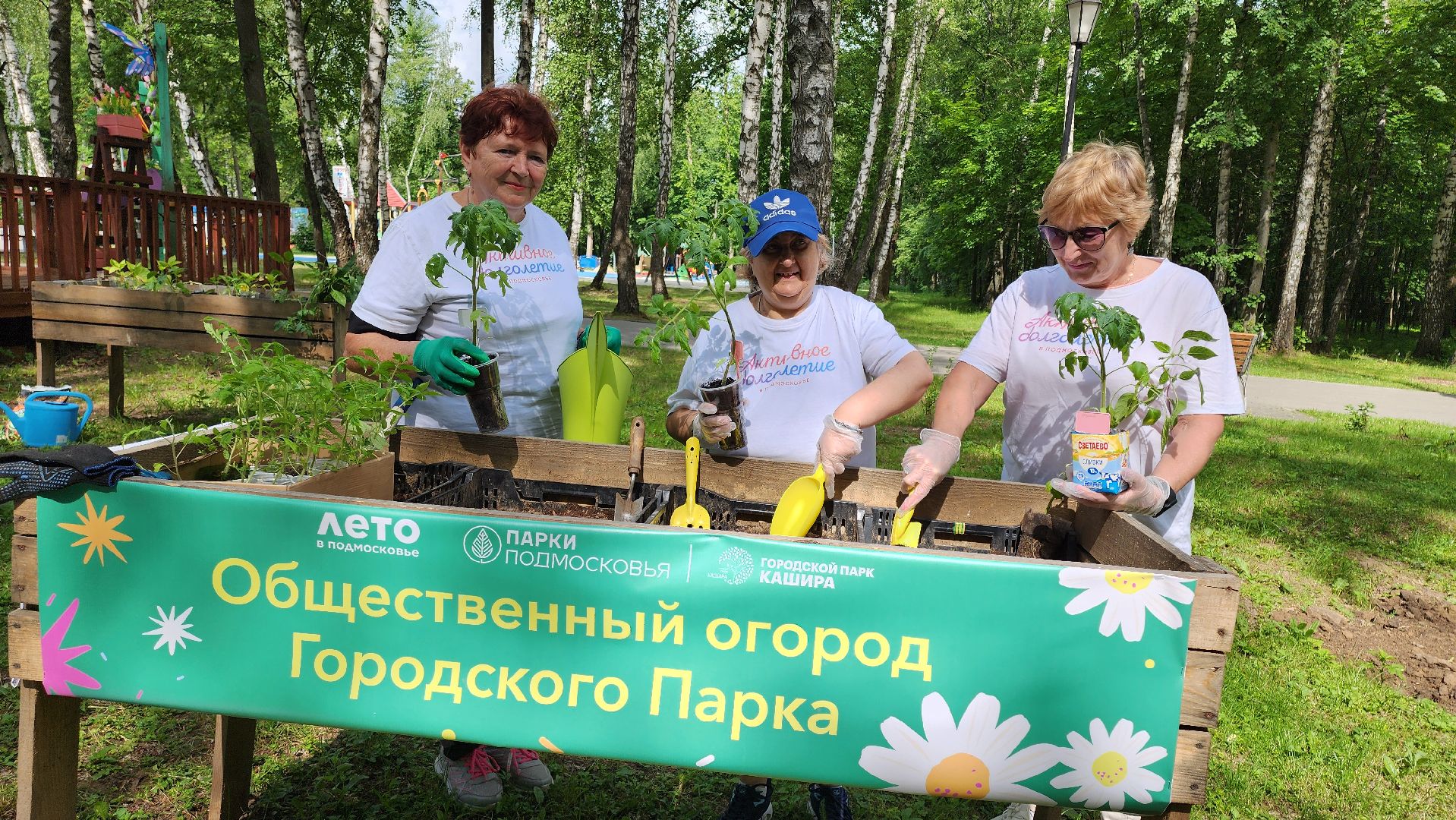 кашира, активное долголетие, общественный огород, парк, досуг, овощи, цветы,