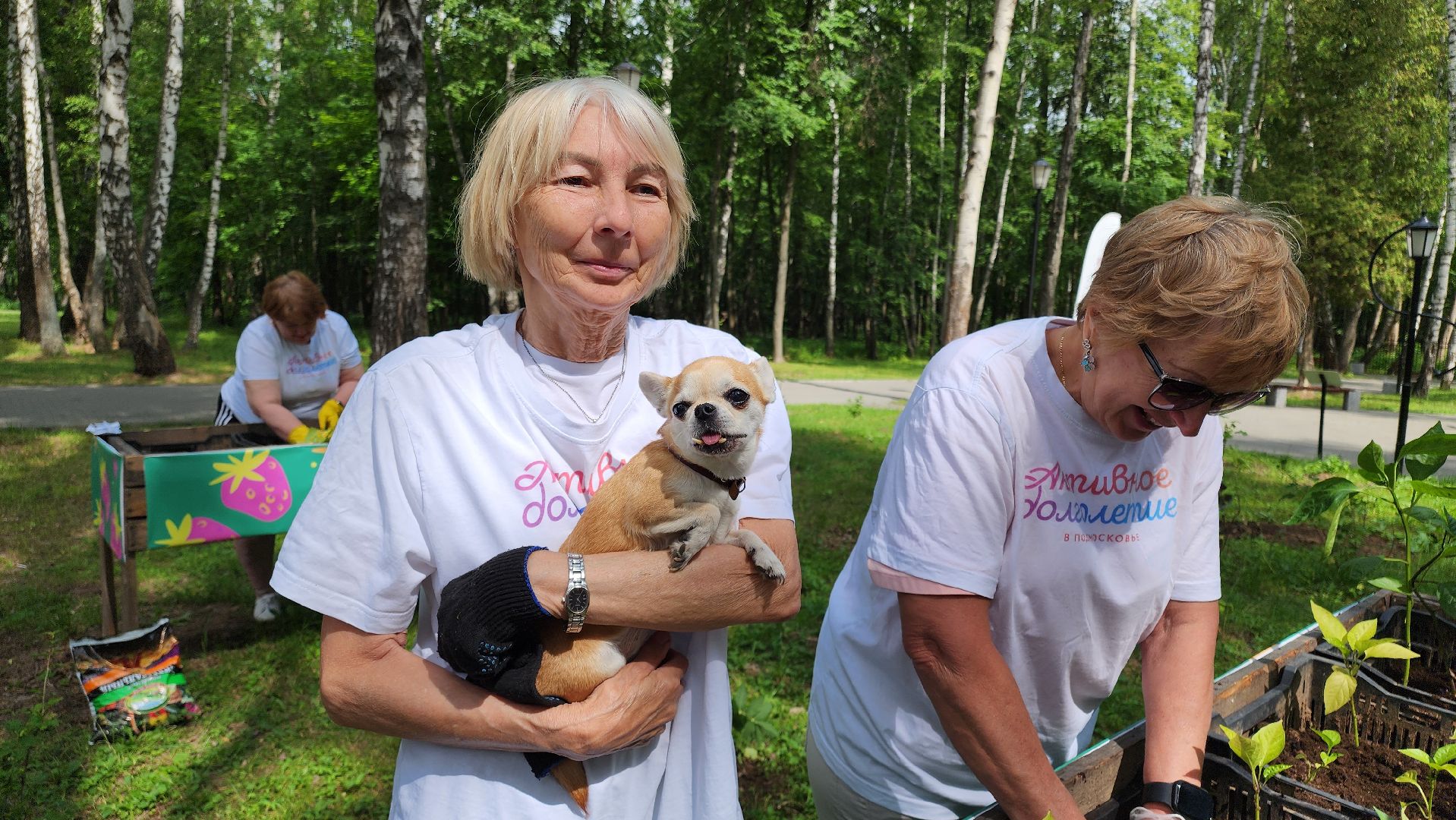 кашира, активное долголетие, общественный огород, парк, досуг, овощи, цветы,