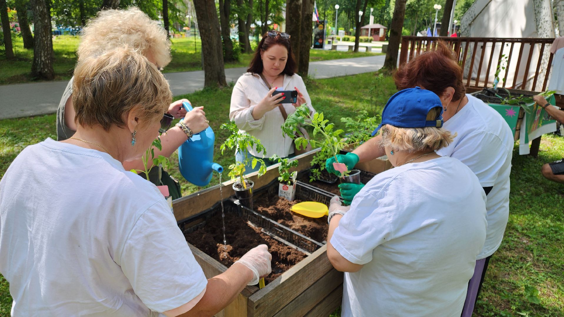 кашира, активное долголетие, общественный огород, парк, досуг, овощи, цветы,