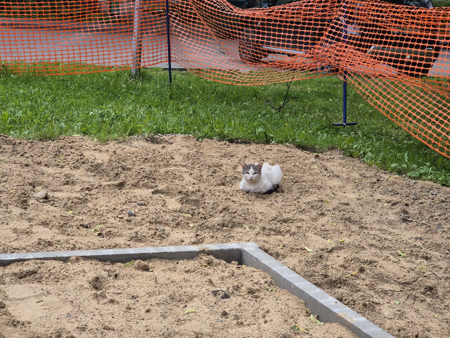 дубна, благоустройство, детскаяплощадка, улицаэнтузиастов, наукоград,